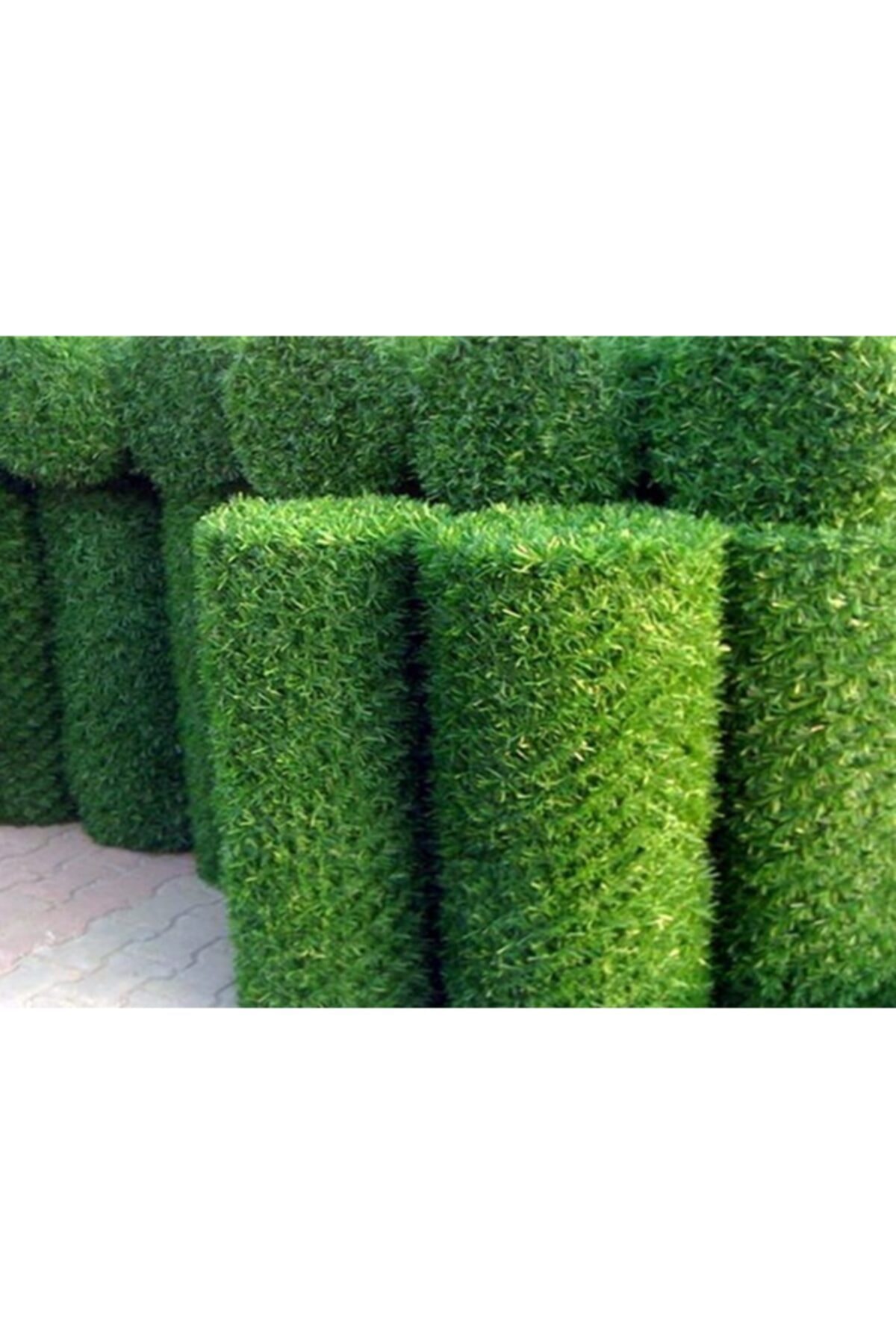 gardenworld Çim Çit Örgü Telli Bahçe Çiti 200 Cm X 5 Mt